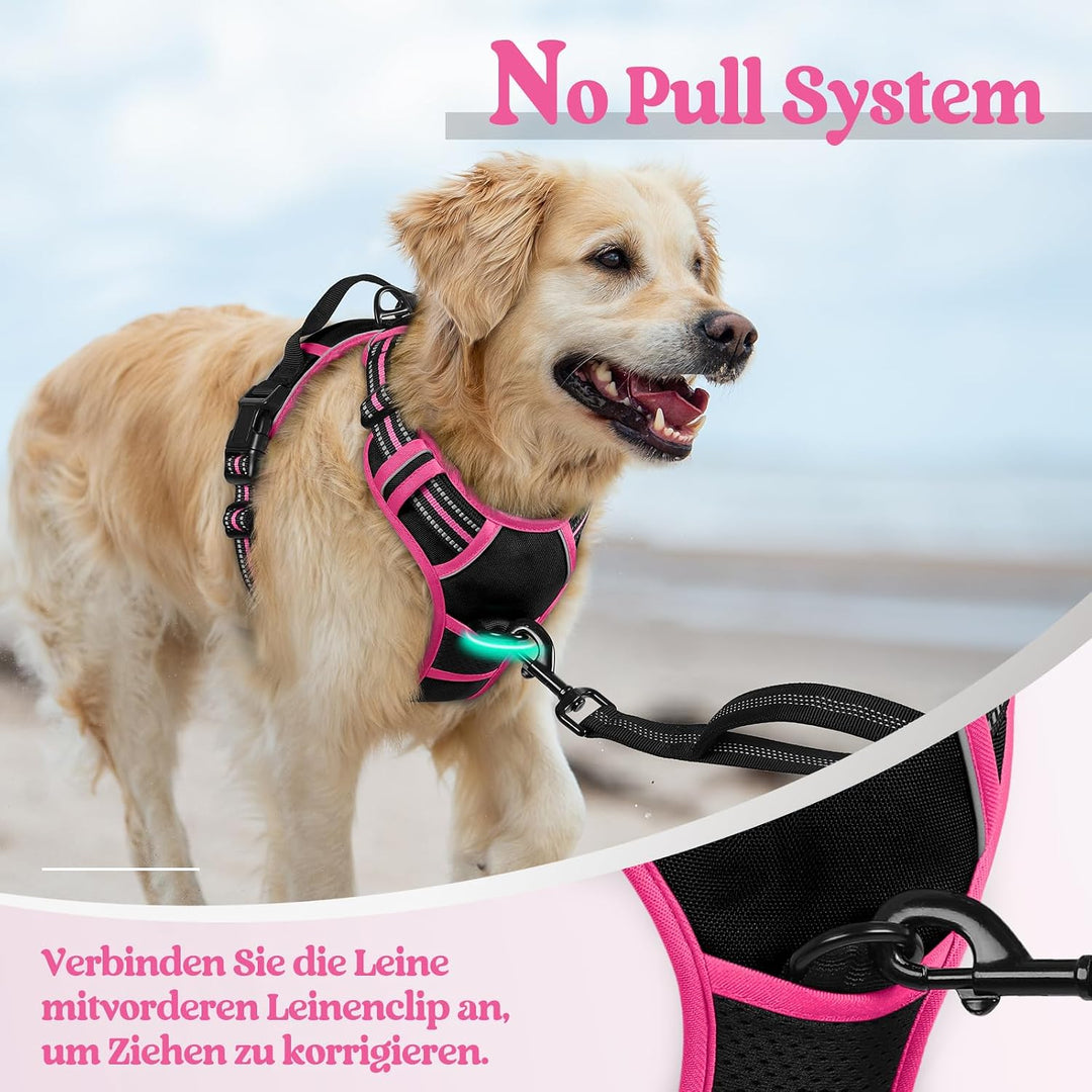 rabbitgoo Hundegeschirr Mittelgrosse Hunde, Anti Zug Geschirr mit Kontrolle, No Pull Verstellbar Hun