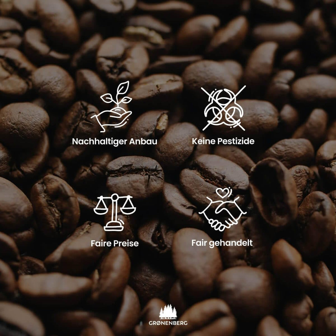 Groenenberg Spar Set 7 | French Press Thermo 600ml + Bio Filterkaffee 500g | Edelstahl Kaffeepresse