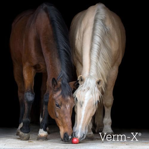 Verm-X kräuterflüssigkeit Für Pferde & Ponies-500 Ml, Clear, Unisex, Unisex