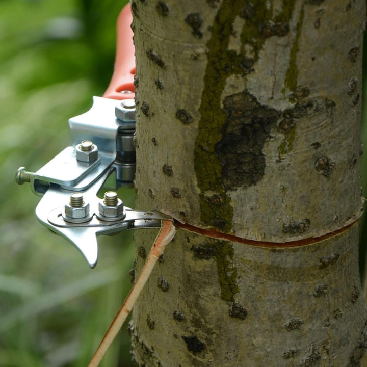 Obstbaum-Ringschneider | Verstellbare Rindenringelung für Obstbäume und Garten | Obstbaum-Ast-Schnei