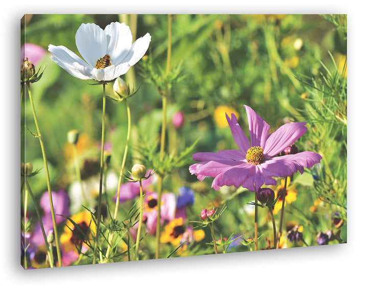 deyoli blühende Blumenwiese Format: 60x40 als Leinwand, Motiv fertig gerahmt auf Echtholzrahmen, Hoc