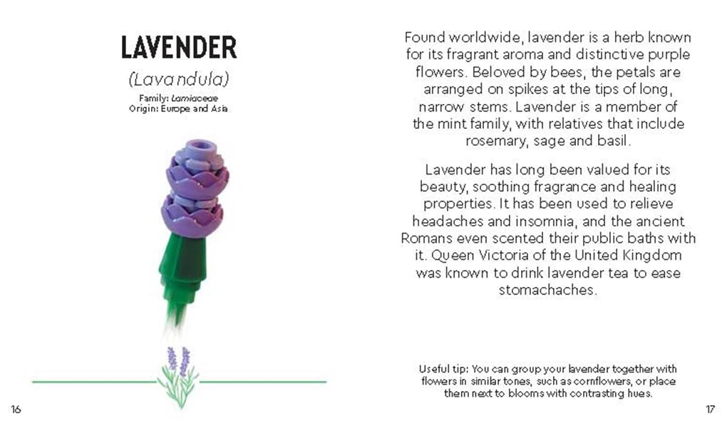 LEGO® Botanicals™: Tiny Wildflower Bouquet, Gebundenes Buch