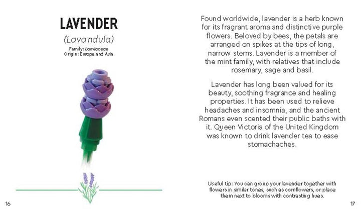 LEGO® Botanicals™: Tiny Wildflower Bouquet, Gebundenes Buch