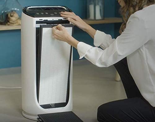 Rowenta XD6074F0 Allergy + Plus Filter, offizielles Zubehör für Pure Air Intensiver Luftreiniger, bi