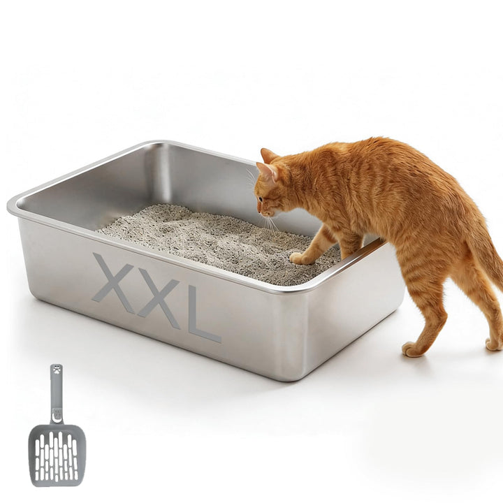 Edelstahl Katzenklo 60x40x15cm– Grosse Katzentoilette für Katzen und Kaninchen, Rostfrei& Antihaftbe