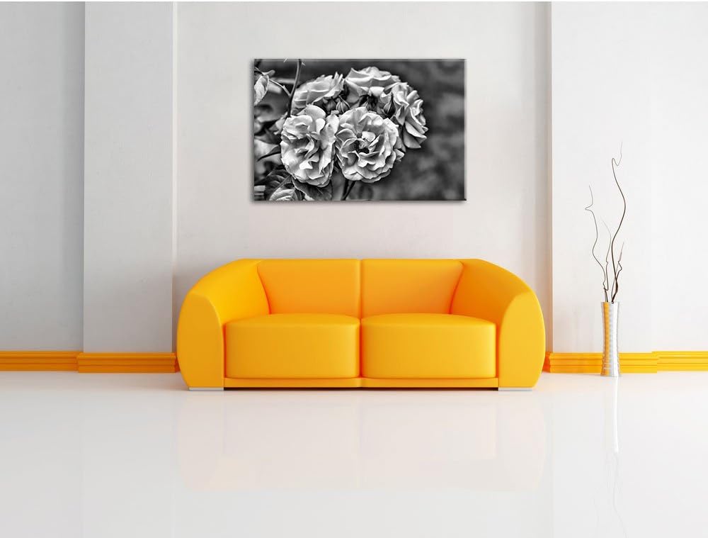 Pixxprint Weiss gelbe Rose Blumen / 100x70cm Leinwandbild bespannt auf Holzrahmen/Wandbild Kunstdruc