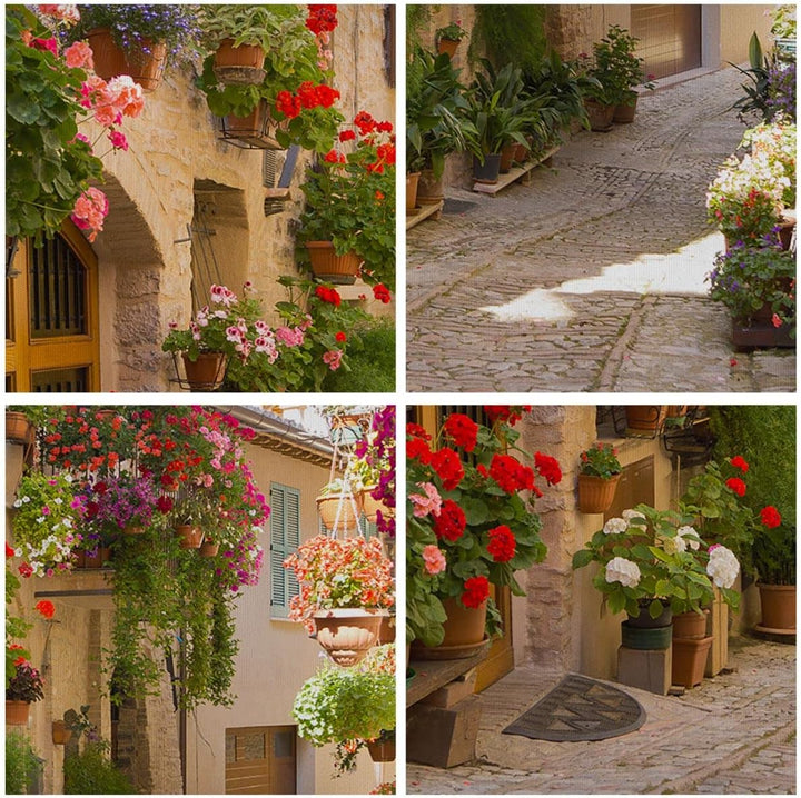 Bilder auf Leinwand Blume Strasse Haus Leinwandbild mit Rahmen 70x50cm Wandbilder Dekoration Wohnzim