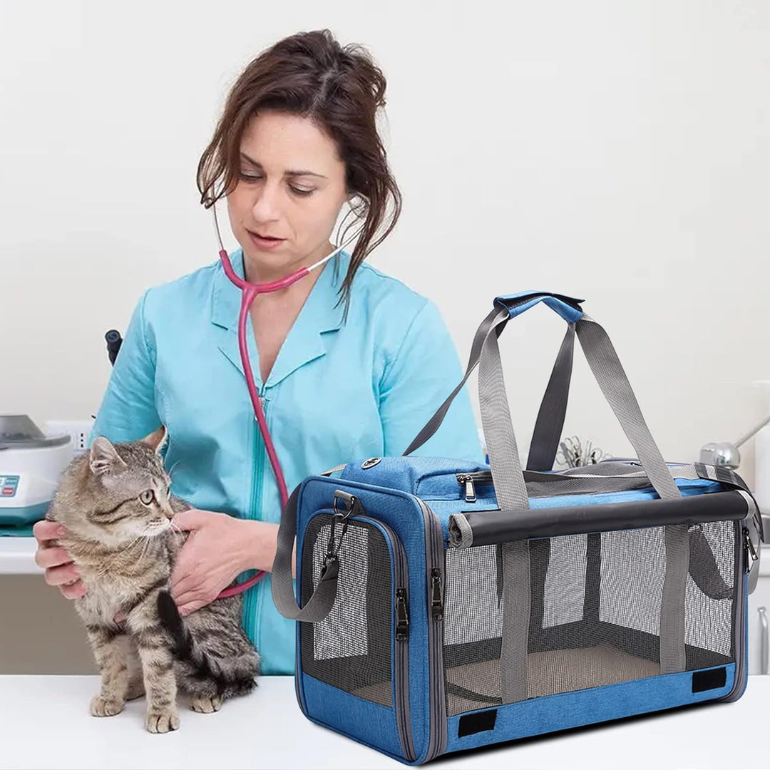 PETCUTE Katzentransportbox für grosse Katzen 20 lbs,Faltbar Hundetransportbox für Kleine Hunde,Tragb