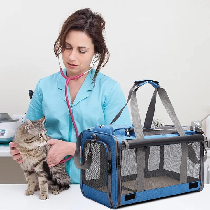PETCUTE Katzentransportbox für grosse Katzen 20 lbs,Faltbar Hundetransportbox für Kleine Hunde,Tragb