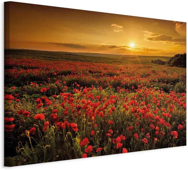 murando- Bilder Mohblumen Feld 90x60 cm Leinwandbild 1 tlg Kunstdruck modern Wandbilder XXL Wanddeko