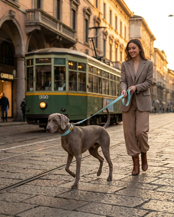 VELVETIER® Paris | Halsband Hund im Set mit Leine & Beutelspender | Veganes Leder | Hunde Halsbänder