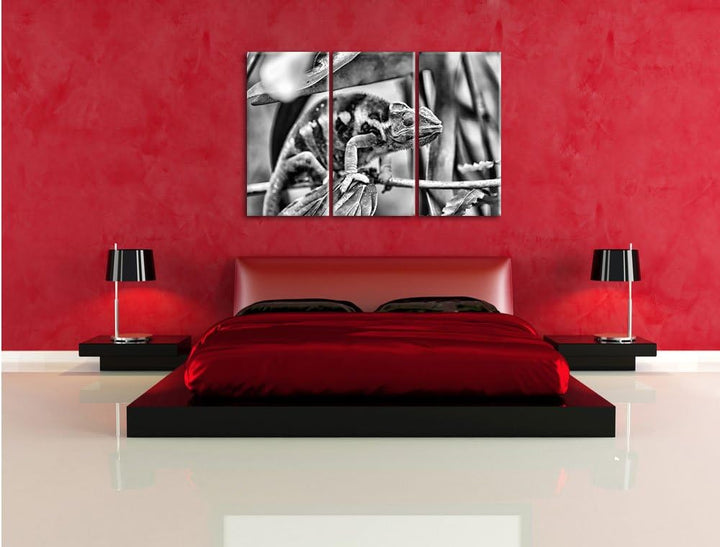 Pixxprint Monocrome, braunes Chamäleon 3-Teiler Leinwandbild 120x80 Bild auf Leinwand