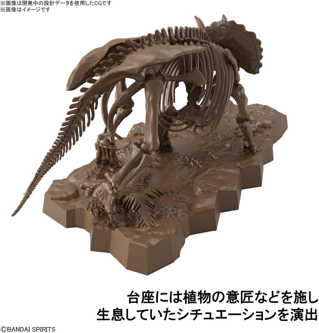BANDAI Hobby - 1/32 imaginäres Skelett Triceratops