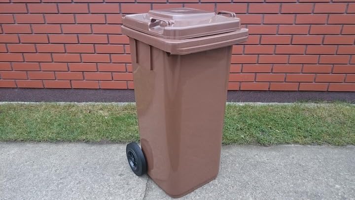 Mülltonne 120 L Abfallbehälter mit Deckel und Rädern Braun Kunststoff für Aussenbereich Garten und H