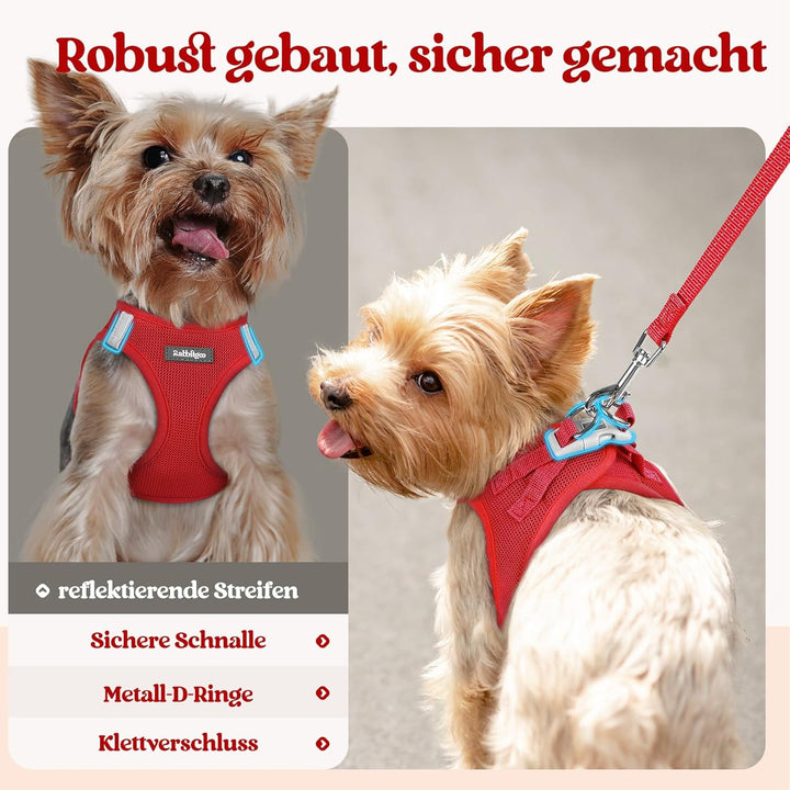rabbitgoo Hundegeschirr Kleine Hunde mit Leine, Step-in Welpengeschirr Weich Mesh für Spaziergänge,