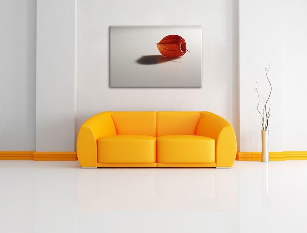 Pixxprint kleine Physalis auf Leinwand, XXL riesige Bilder fertig gerahmt mit Keilrahmen, Kunstdruck
