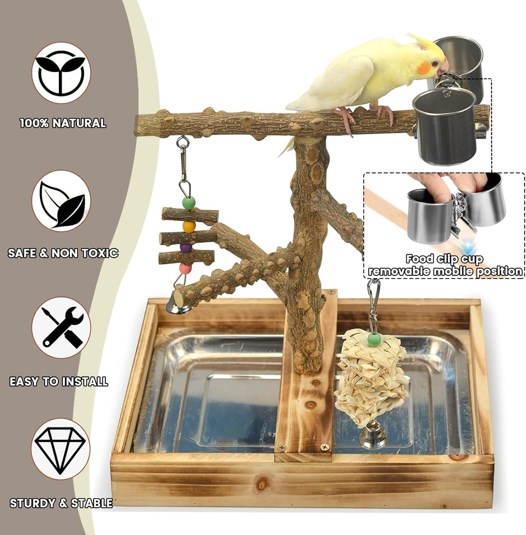 WishesMar Wellensittich Spielplatz Vogel-Spielplatz mit Feeder-Cup Spielzeug Leiter Erklimmen und Ta