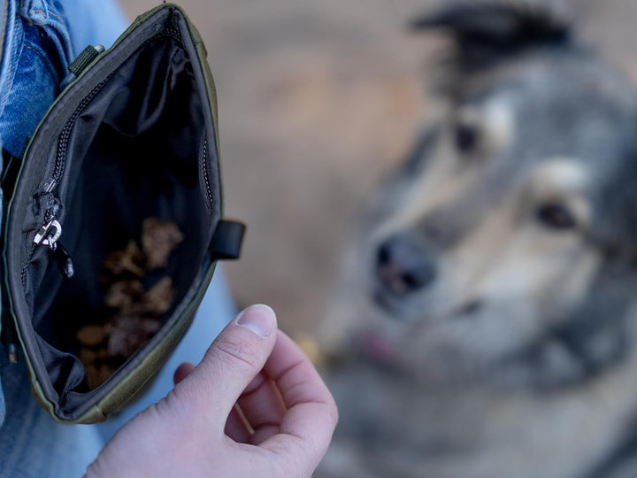 TrendPet Snaxx Leckerchenbeutel, Leckerlibeutel, Leckerlitasche für Hunde, in 3 Farben (Oliv), Oliv