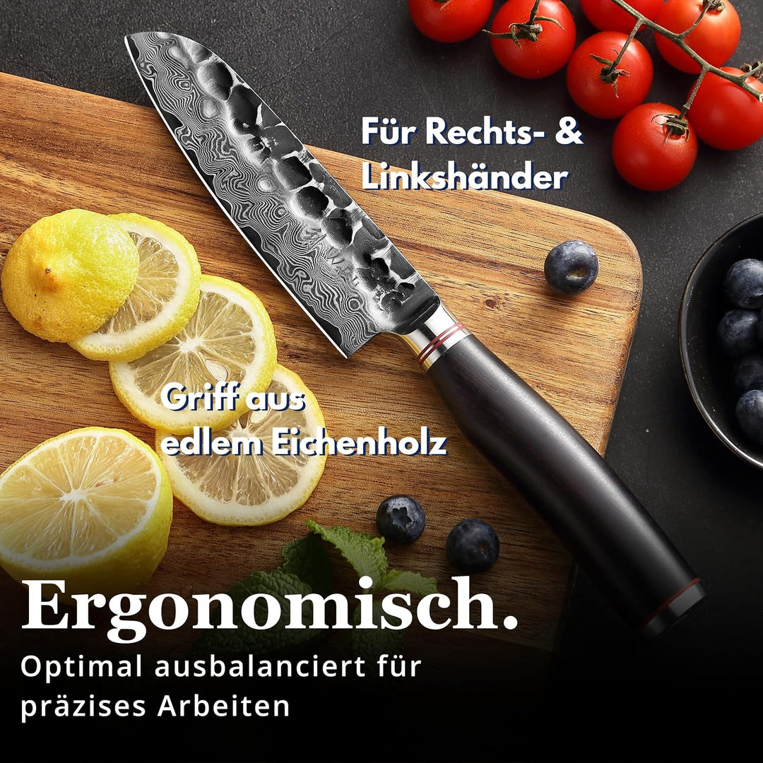 Wakoli Ebo Damastmesser kleines Santoku Messer extrem scharfe 12 cm Klinge aus 67 Lagen I Damast Küc