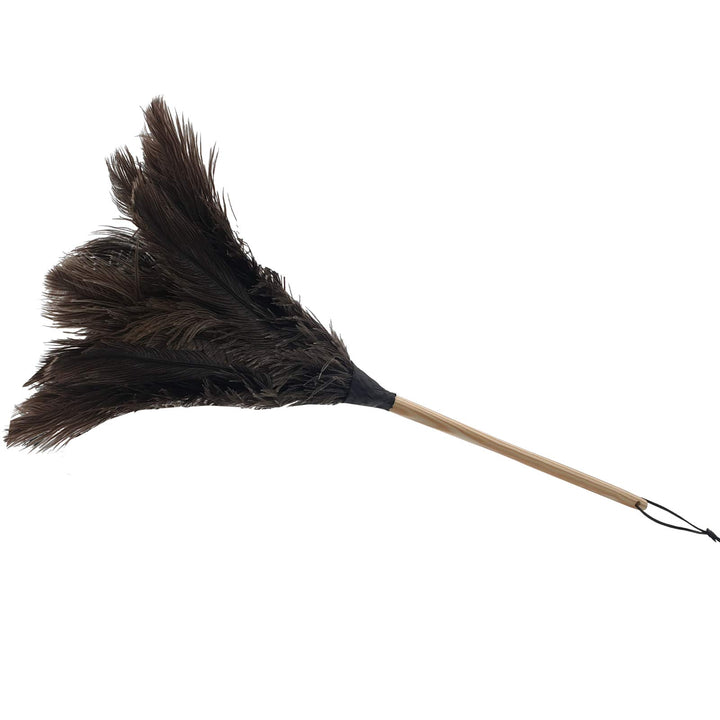 Staubwedel Strauss mit hochwertigen afrikanischen Straussenfedern und 30 cm Holzstiel - Staubwischer