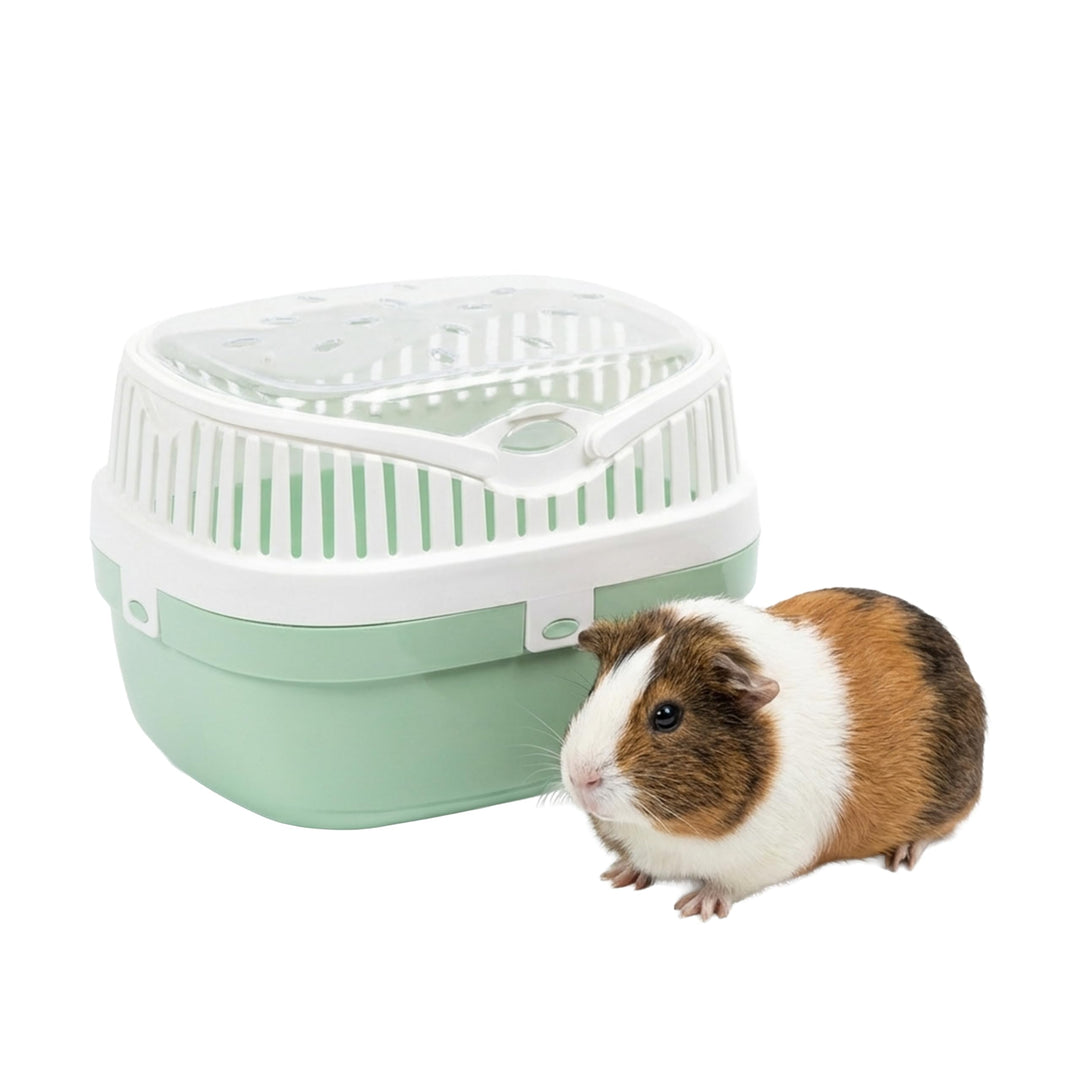 Ferplast Transportbox für Hamster und andere kleine Nagetiere Aladino Medium Reisekäfig für Hamster,