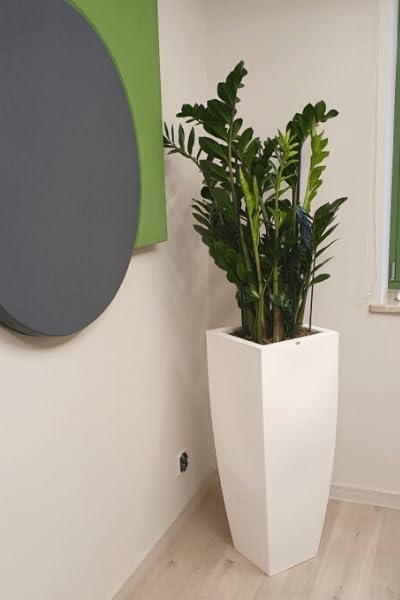 Forvega, Juno Blumentopf, Pflanzgefäss, hoher Topf ohne RegalBlumenständer, Übertopf, Asymmetrischer