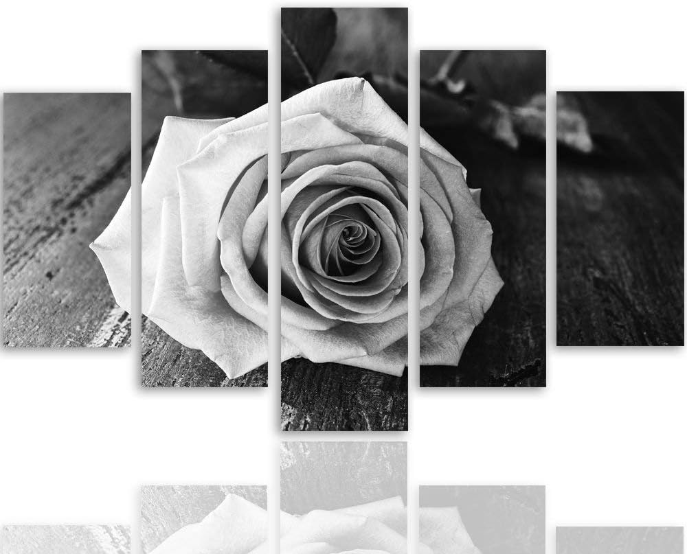 Feeby. Leinwandbild - 5 Teile - Bilder, Wand Bild, Wandbilder, Kunstdruck XXL, 5-Teilig, Typ A, 100x