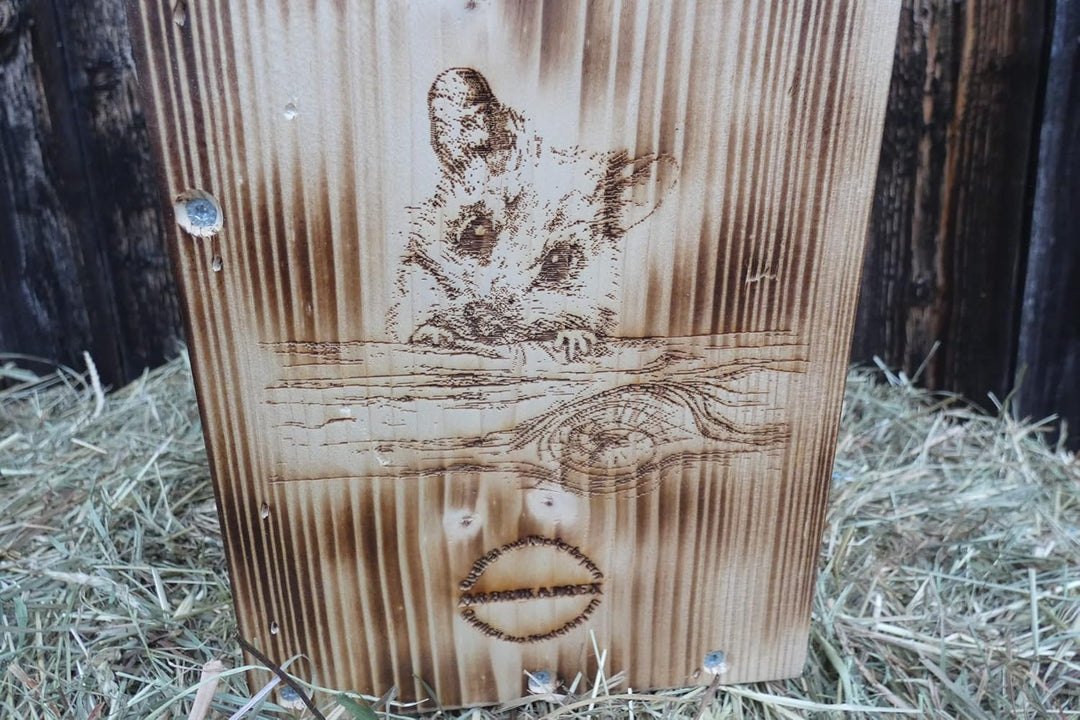 Qualität aus Niederbayern ARBRIKADREX Nistkasten Haselmaus nach NABU Vorgaben Bilch (Nistkasten Fich