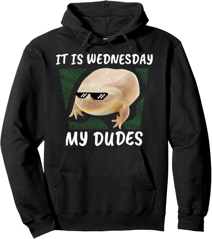 It Is Wednesday My Dudes as Frog Wednesday Memes Pullover Hoodie