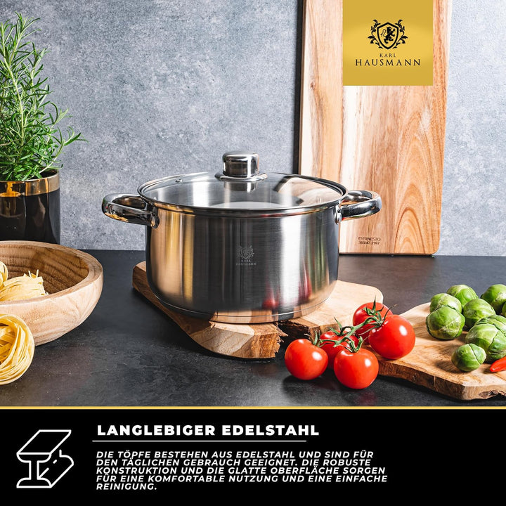 Topfset Induktion 5-teilig, Kochtopf Set mit Glasdeckel, Edelstahl mattiert, Induktions Töpfe Set un