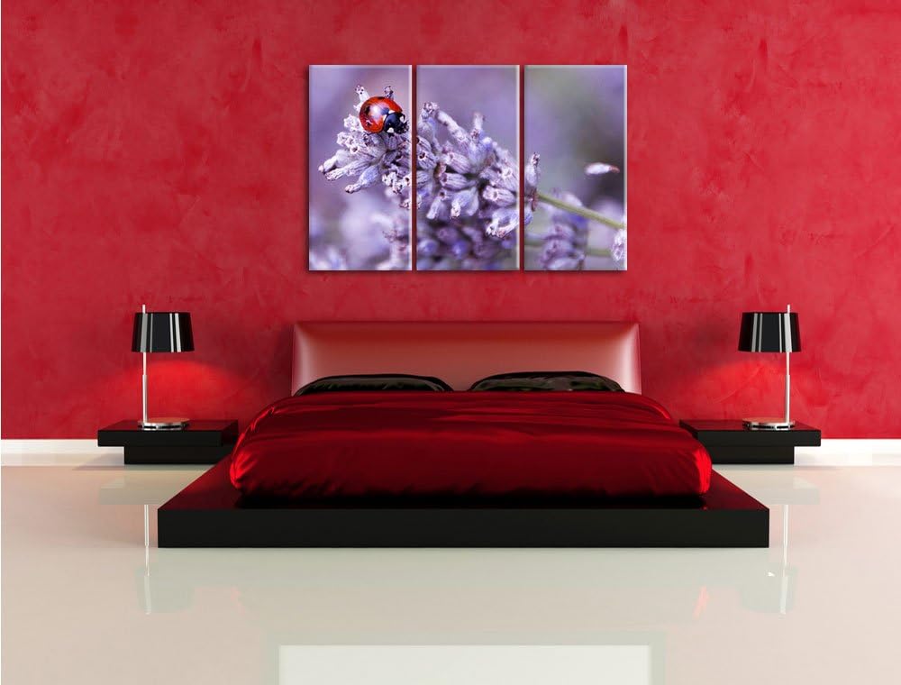 Pixxprint Kleiner Marienkäfer auf Lavendel als Leinwandbild/Grösse: 3Teilig (120x80) / Wandbild/Kuns