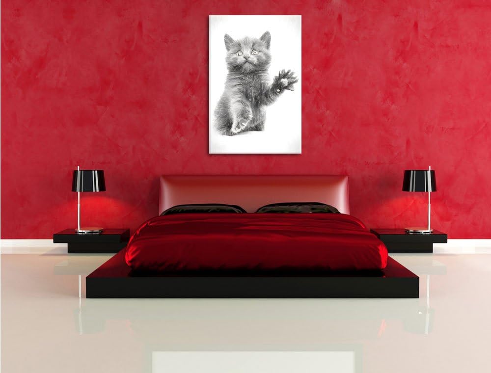 Babykatze Kohle Effekt, Format: 100x70 auf Leinwand, XXL riesige Bilder fertig gerahmt mit Keilrahme