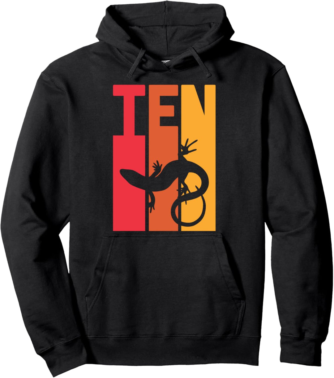 10. Geburtstag Vintage Eidechse Gecko Reptil 10 Jahre alt Pullover Hoodie