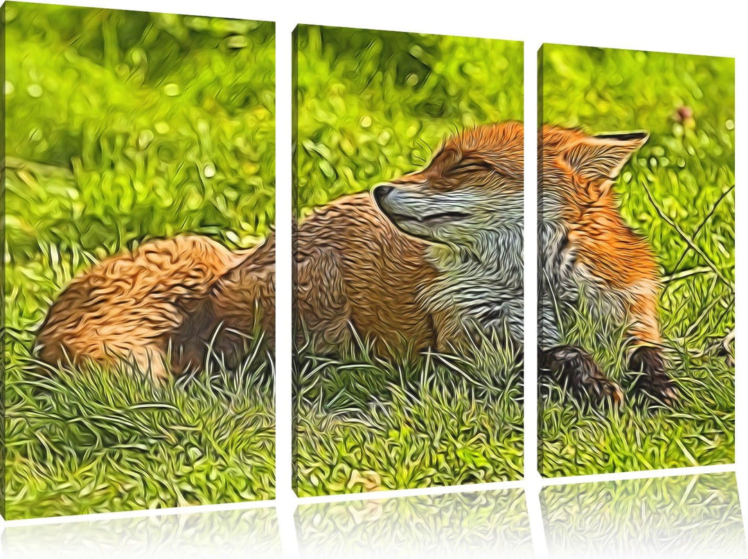 Süsser Fuchs auf Wiese 3 Teilig, Gesamtgrösse 120x80 cm auf Leinwand, XXL riesige Bilder fertig gera