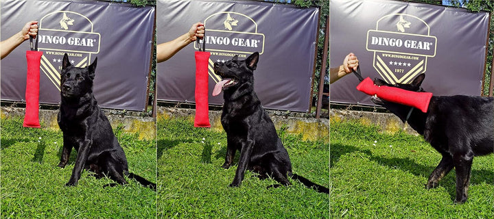 Dingo Gear Baumwolle-Nylon Beisswurst für Hundetraining K9 IGP IPO Obiedence Schutzhund Hundesport,