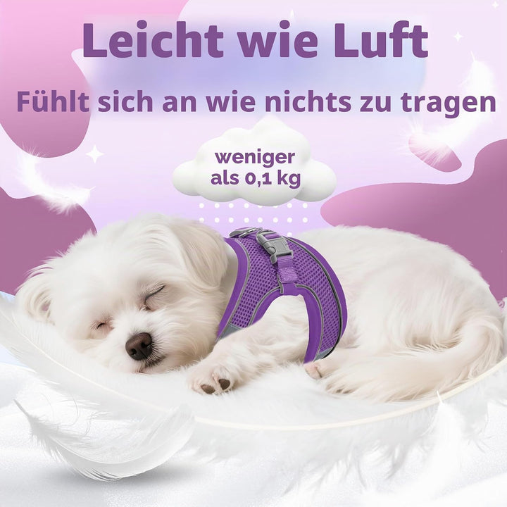 AIITLE Bequemes Hundegeschirr und Leine Set zum Gassi gehen - Step in Vest Harness, Reflektierende B