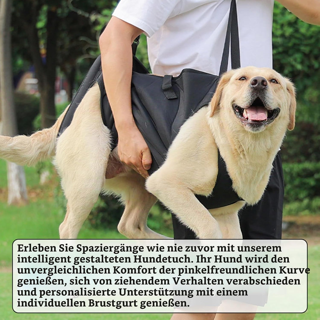 Tragehilfe für Hunde - Verstellbare Gehhilfe, Hebegeschirr für Hinterbeine, Hüftstütze Mit Griffen,