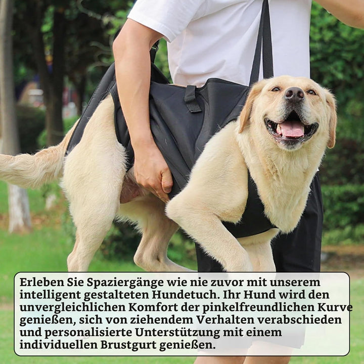 Tragehilfe für Hunde - Verstellbare Gehhilfe, Hebegeschirr für Hinterbeine, Hüftstütze Mit Griffen,