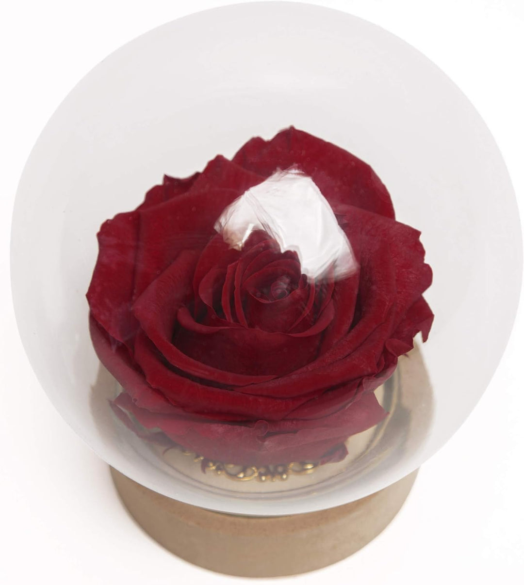 ROSEMARIE SCHULZ Heidelberg Infinity Rose im Glas echte haltbar langlebige Rose in Glaskugel (Large,
