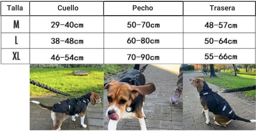 Total Sportgeschirr mit Hund, Laufen, Canicross, Schlitten, Mushing, Fahrrad, Roller... (M, Rot) M R