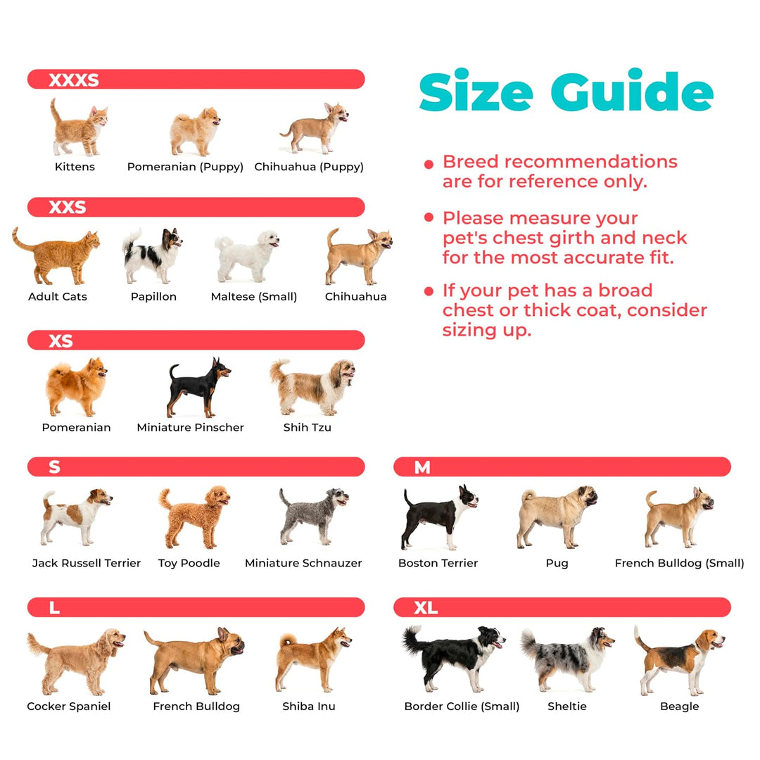 Best Pet Supplies Voyager Step-In Air Hundegeschirr – Allwetter-Netzgewebe für kleine und mittelgros