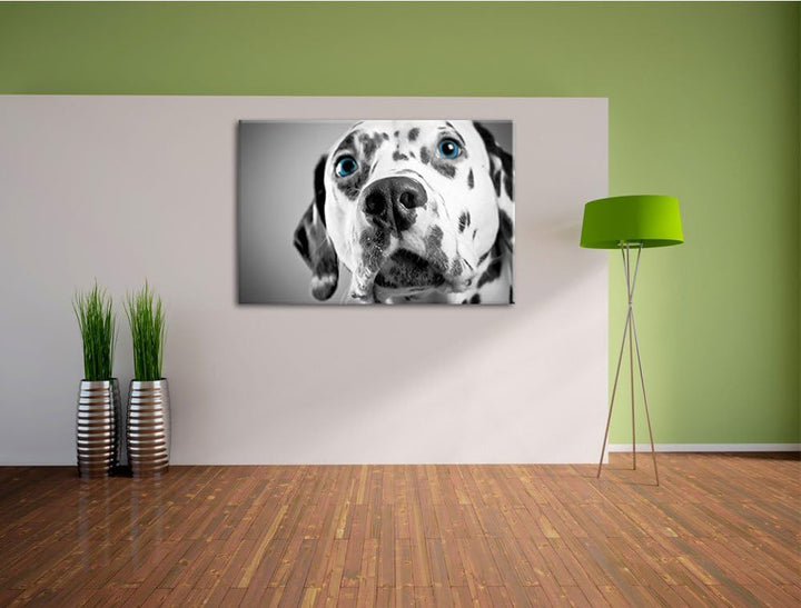 aufmerksamer Dalmatiner schwarz/weiss Format: 100x70 auf Leinwand, XXL riesige Bilder fertig gerahmt