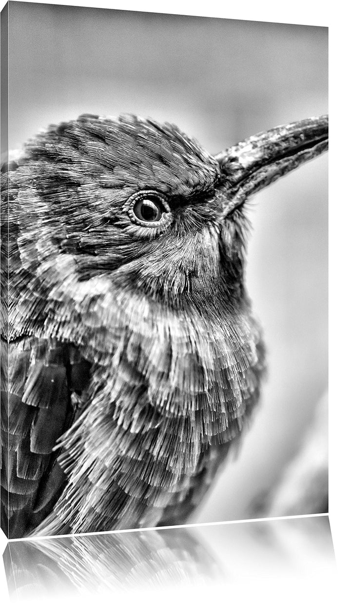 Pixxprint Monocrome, Kleiner tropischer Vogel, Format: 100x70 auf Leinwand, 100x70