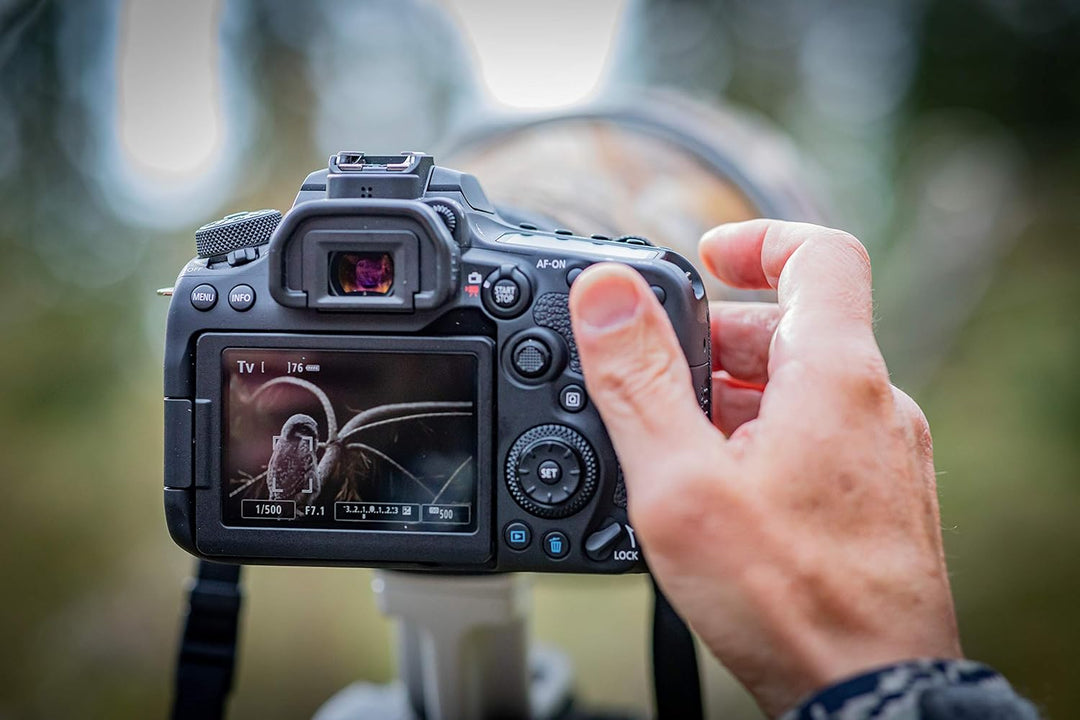 Canon EOS 90D Spiegelreflexkamera Gehäuse - mit Objektiv EF-S 18-55mm F3.5-5.6 IS STM (32,5 MP, 7,7