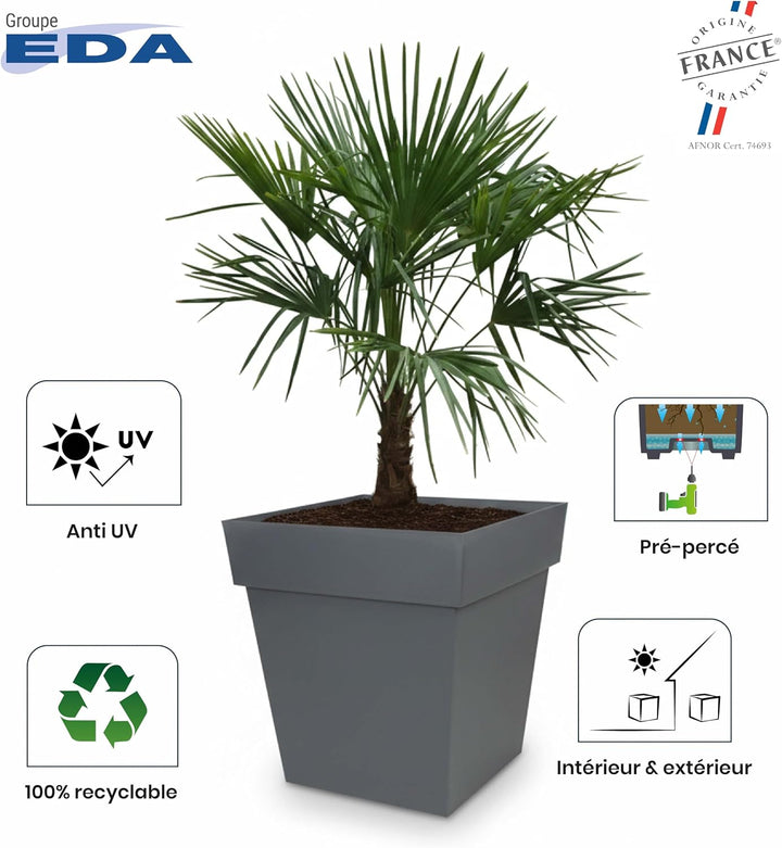 EDA - Blumentopf Toskana, quadratisch, 50 cm – Volumen 87 l – 49,5 x 49,5 x 52,5 cm – Lorbeergrün 49