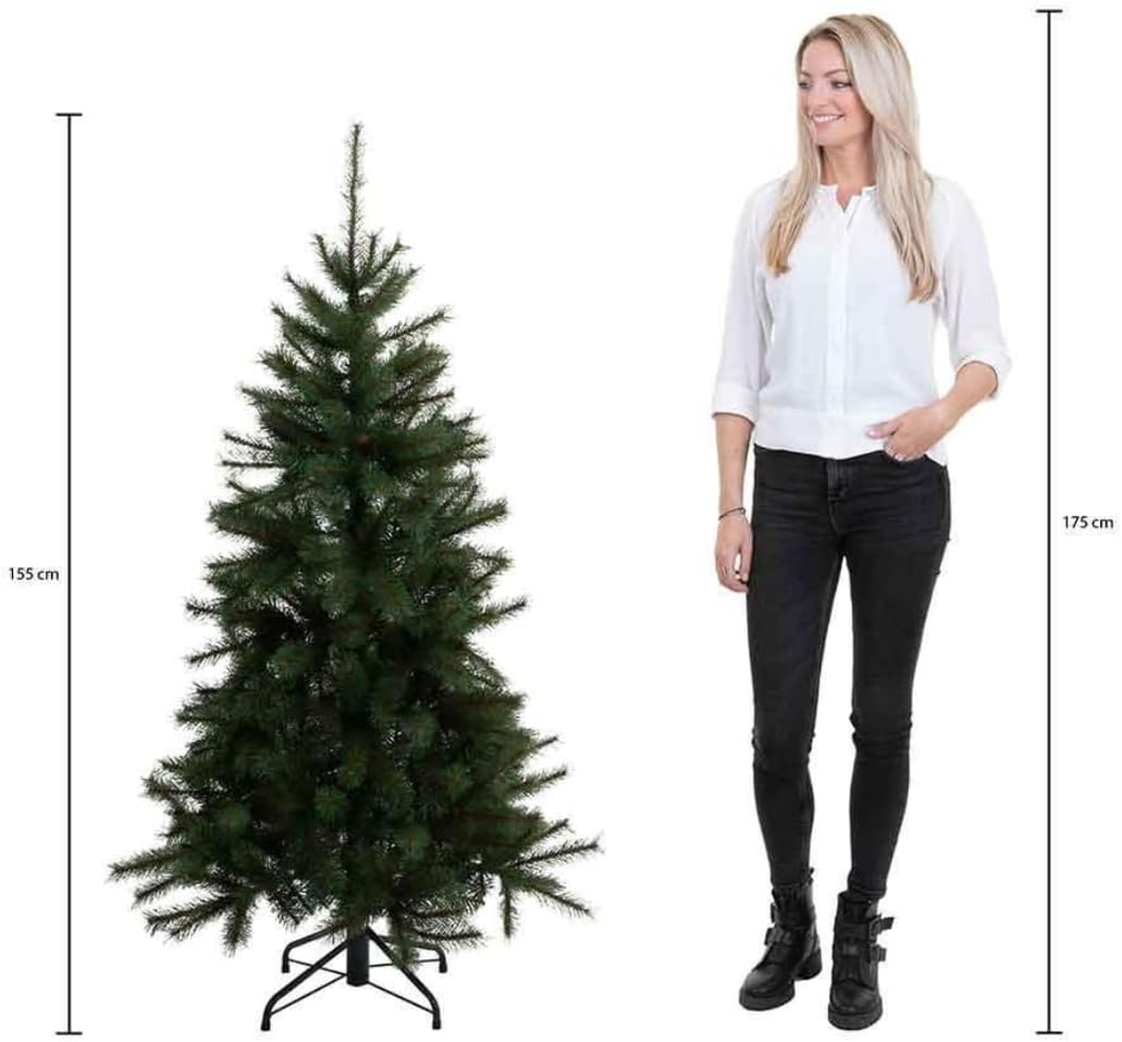 Triumph Tree Bristlecone Fir Christmas Tree Green – H 155 x D 99 cm 155 cm, 155 cm