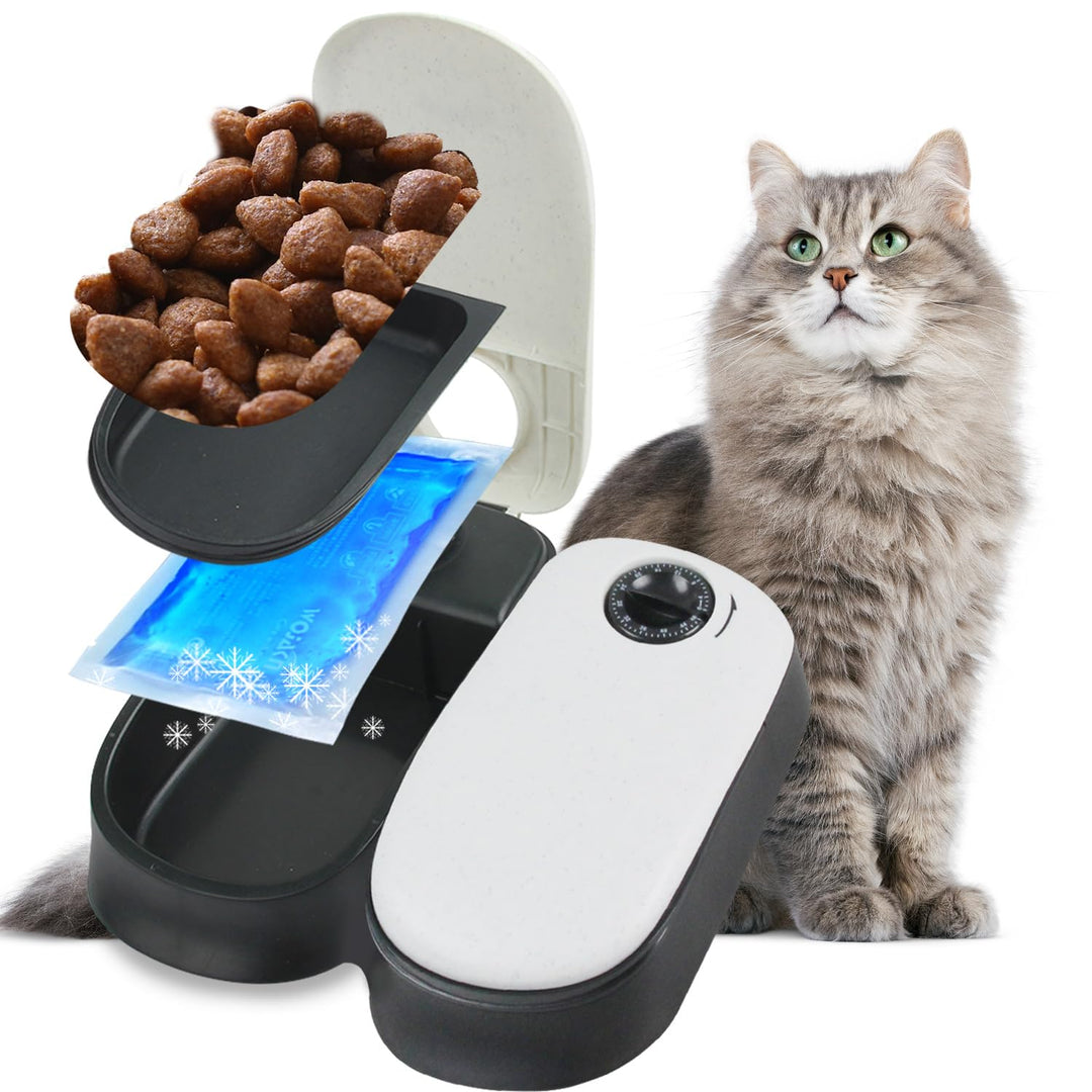PAWISE Automatic Pet Feeder 300 ml Automatischer Futterspender für 48-Stunden-Planung für 2 Mahlzeit
