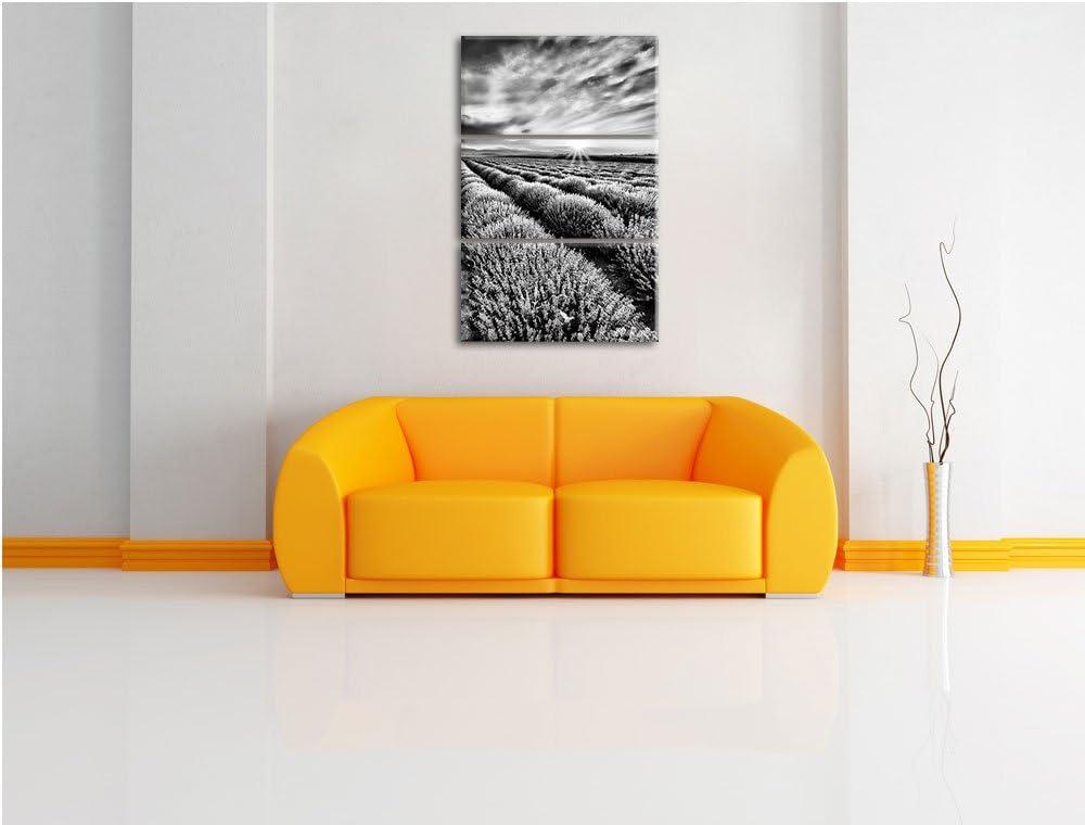 Pixxprint Monocrome, Traumhafte Lavendel Provence 3-Teiler Leinwandbild 120x80 Bild auf Leinwand
