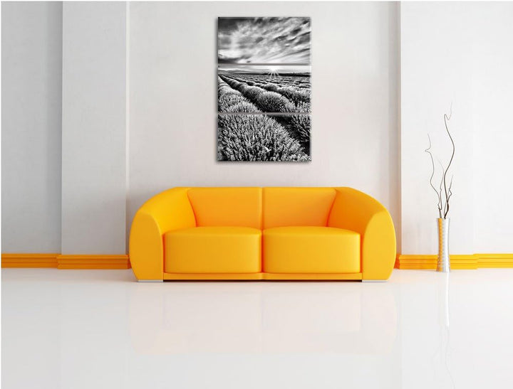 Pixxprint Monocrome, Traumhafte Lavendel Provence 3-Teiler Leinwandbild 120x80 Bild auf Leinwand