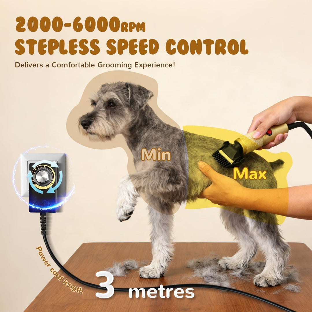 CGOLDENWALL Leise Hundeschermaschine Profi 280W, 2000-6000U/min Stufenlose Geschw.,, Gold